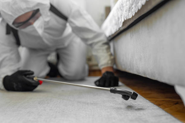 Professional Pest Control technician working in Lochsloy, WA