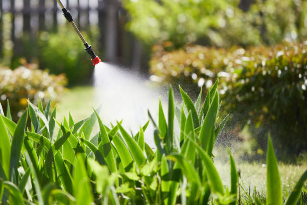 24/7 Emergency Pest Control experts in Lochsloy, WA