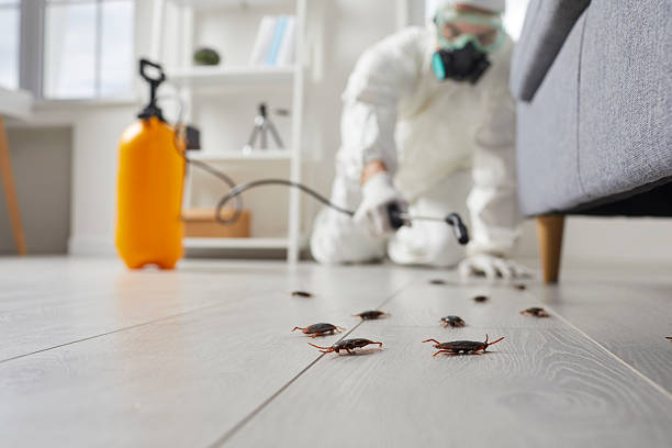 Affordable Pest Control solutions in Lochsloy, WA